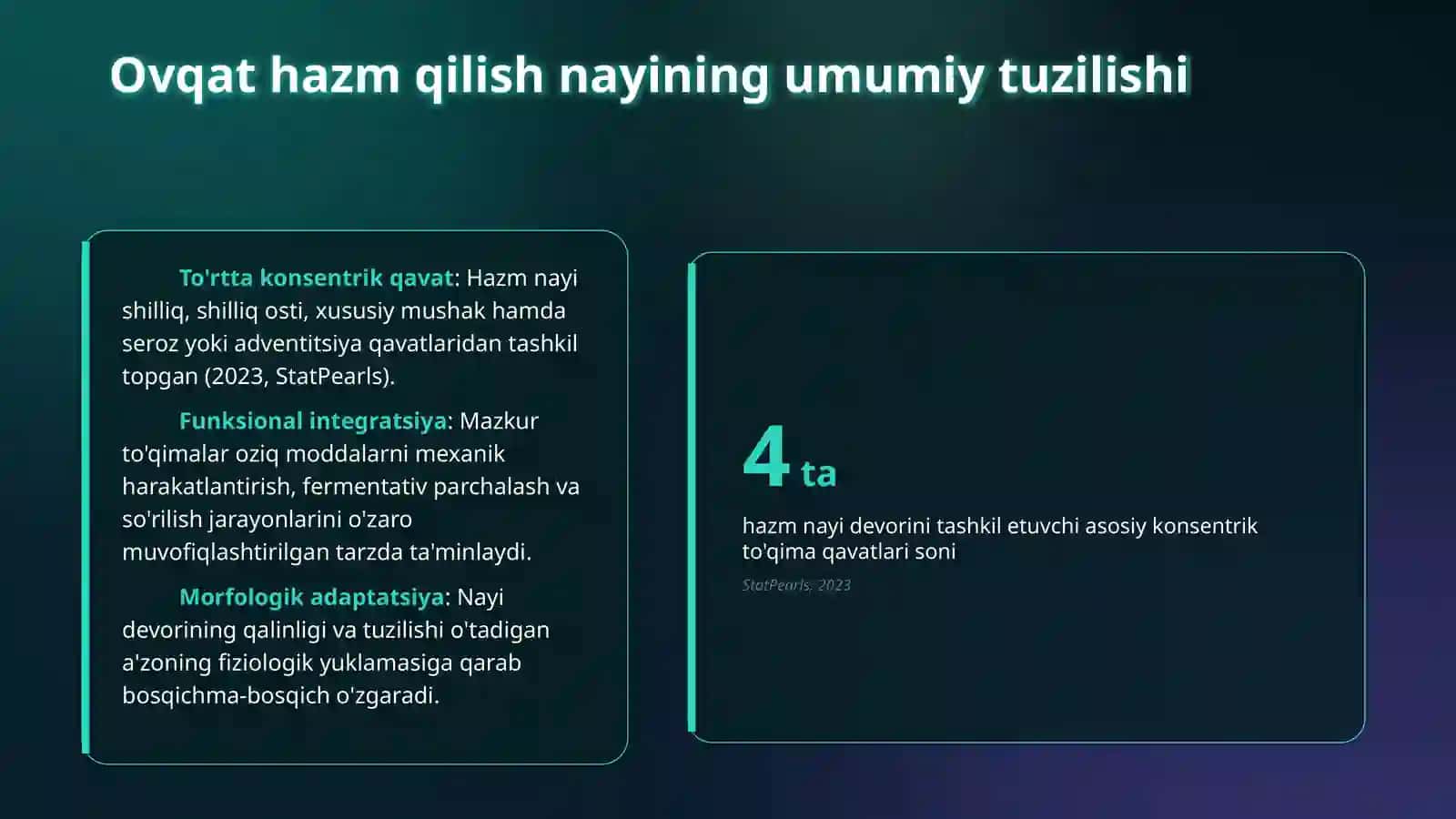 Ovaat xazm qilish tizimi gistalogiyasi 3