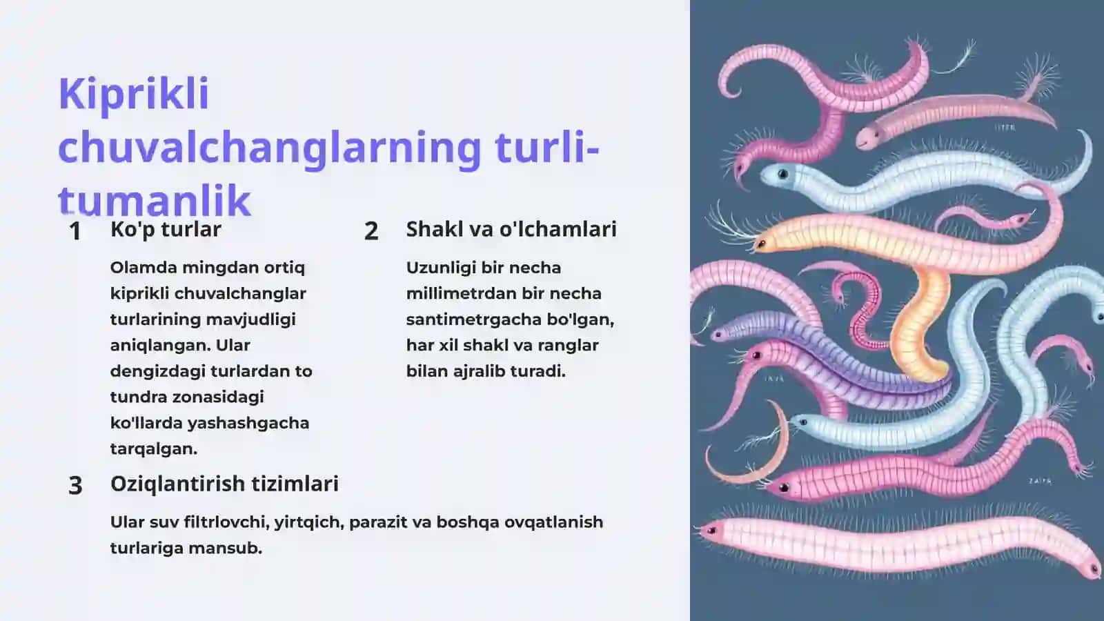 Kiprikli chuvalchanglar 3