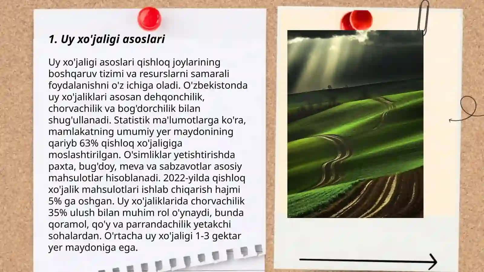 UY XO‘JALIGI VA UNING XILLARI 3