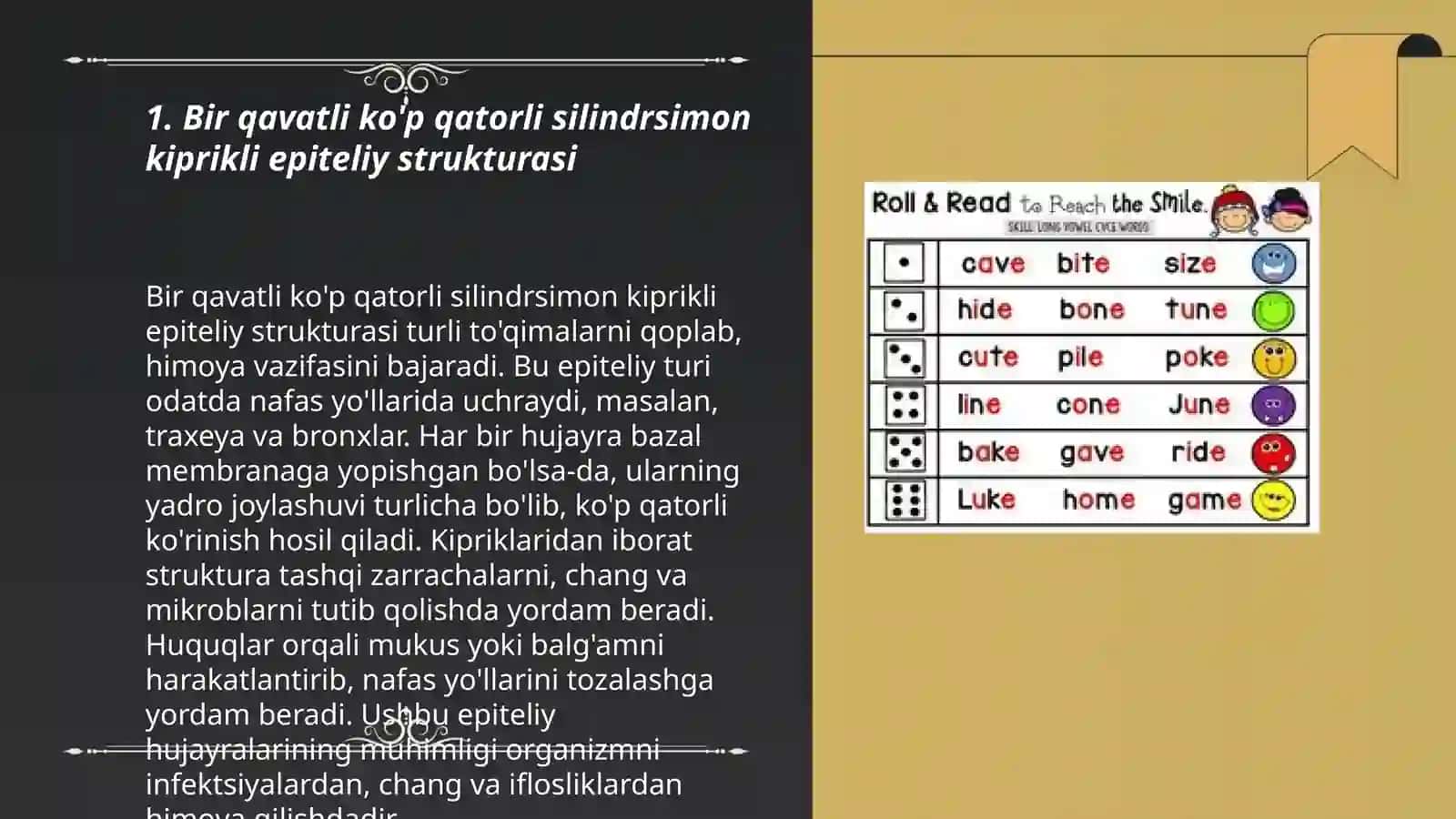Bir qavatli ko'p qatorli silindirsimon kiprikli epiteliy Berman metodi 3