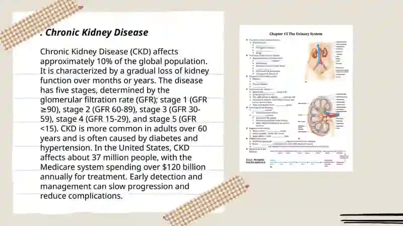 Urinary System Diseases 3