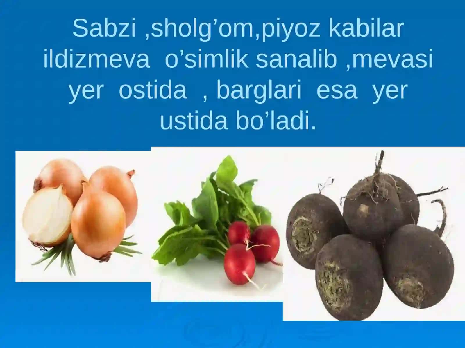 1-sinflarda ona tili va o’qish savodxonligi fanidan dars taqdimoti 3