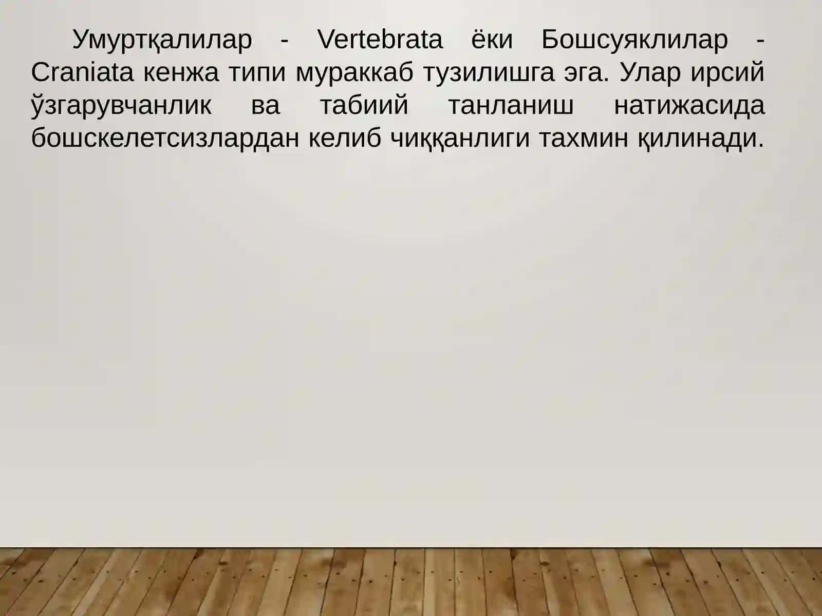 Умуртқалилар– Vertebrata ёки Бош скелетлилар-Craniata кенжа типи 3
