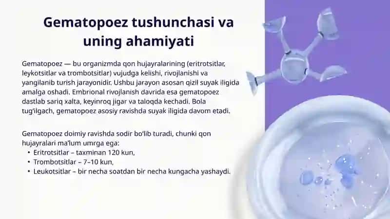 Gematopoez Nazariyalari. Qonning o'zak hujayrasi morfo-funksional xarakteristikasi 3