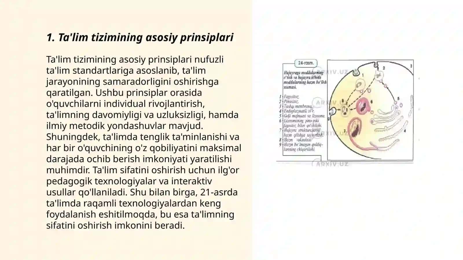 "Ta'lim tõĝrisidagi" qonunning umumiy tuzilishi va mohiyati 3