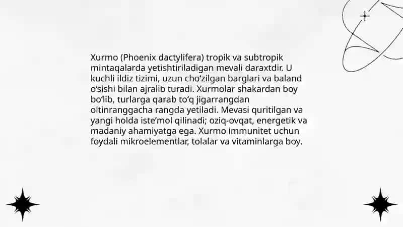 Xurmo 3