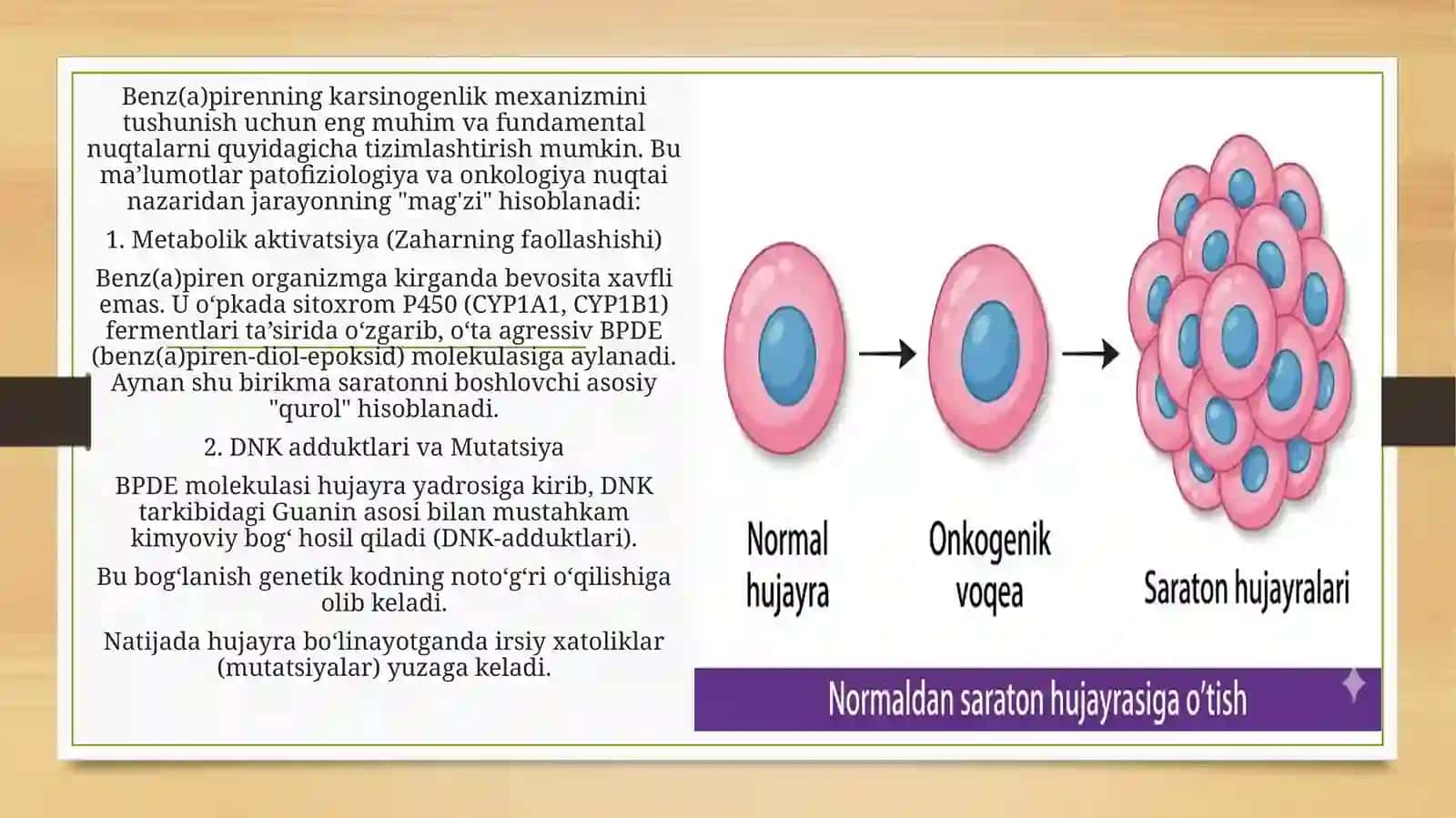 Tamakidagibenz(a)pirennio'pkadaneoplastic jarayonlar rivojlanishida ahamiyati 3
