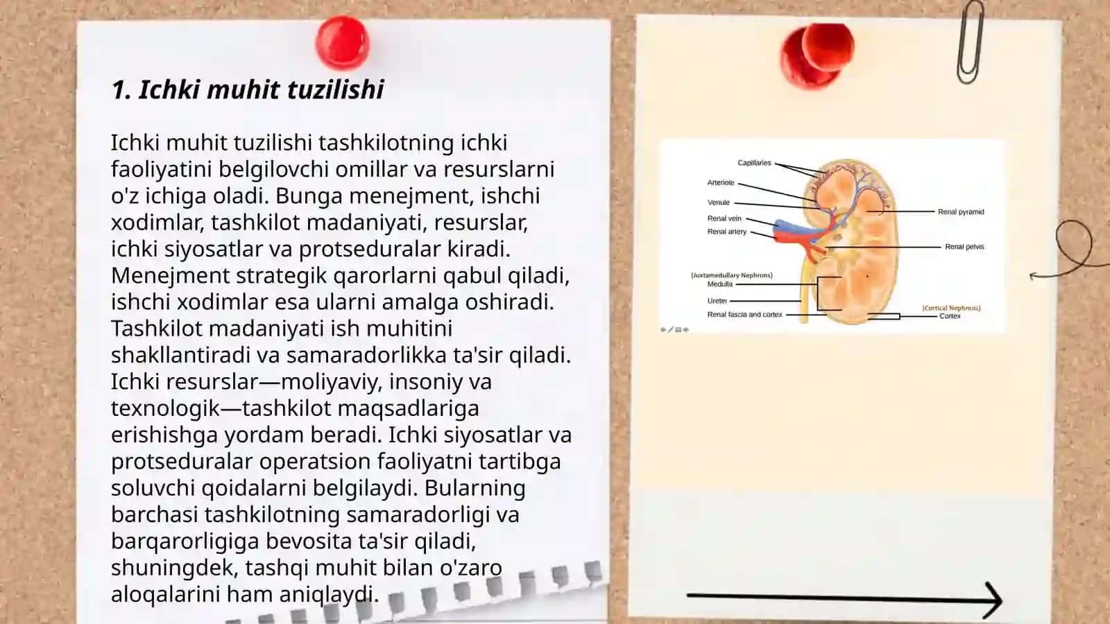 Ichki muhit toʻqimalari 3