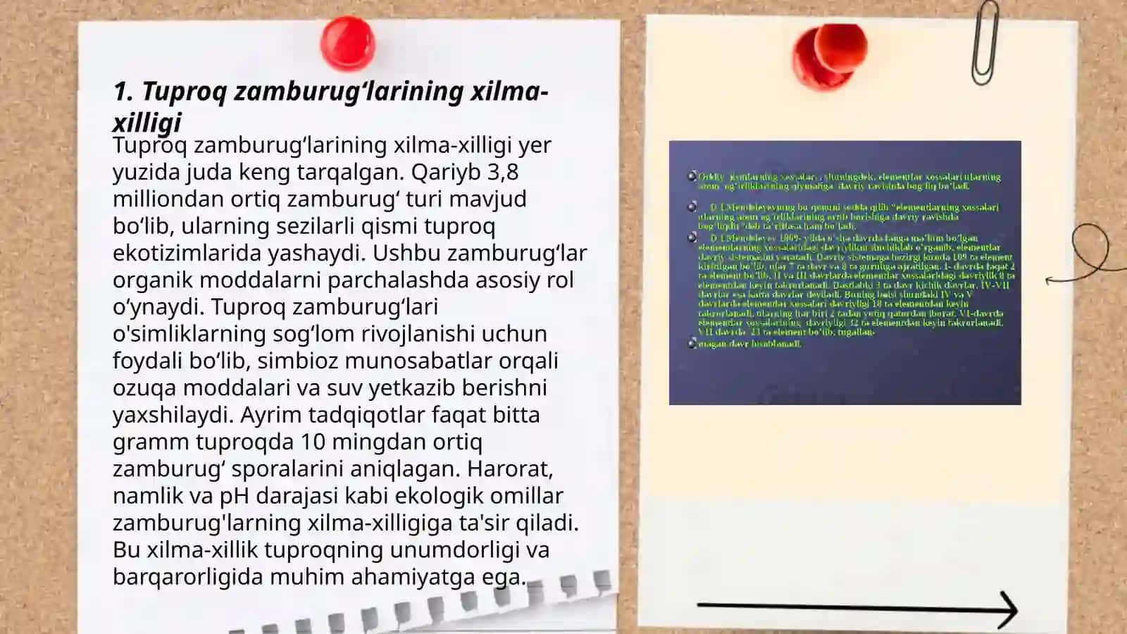 Tuproq zamburugʻlarini ajratib olish va ularning xususiyatlarini oʻrganish 3