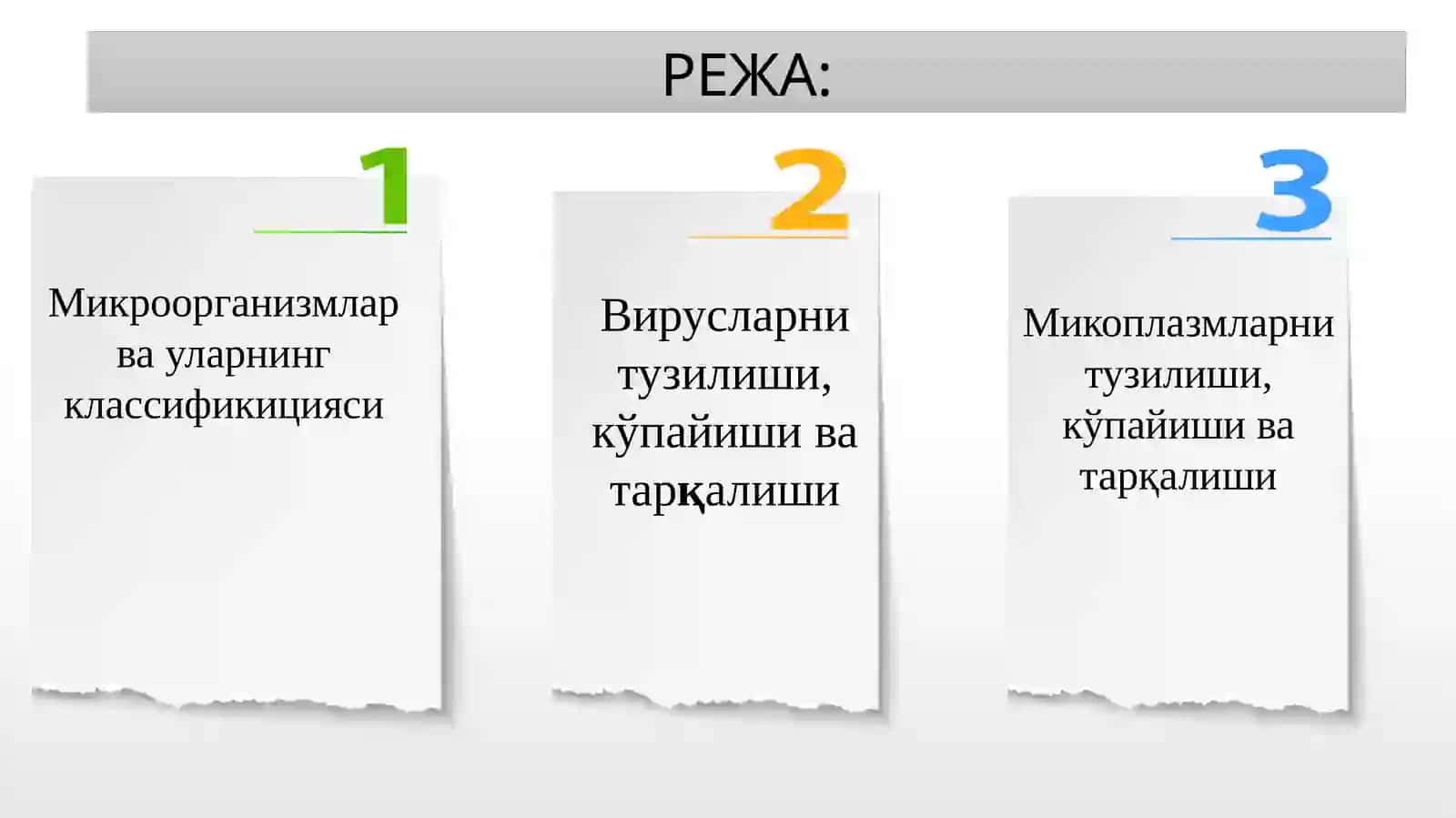 Микроорганизмларнинг морфологияси, тузилиши, кўпайиши ва классификацияси 3