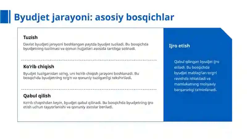 Davlat byudjeti jarayoni 3