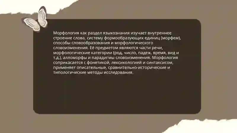 Морфология 3