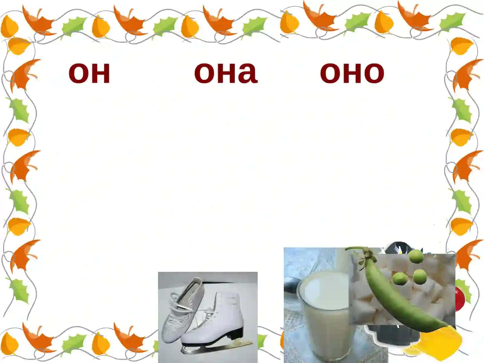 Мумтоз ал-улум 3
