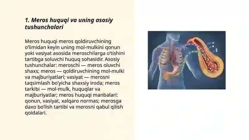 Meros huquqi va uning asosiy tushunchalari 3