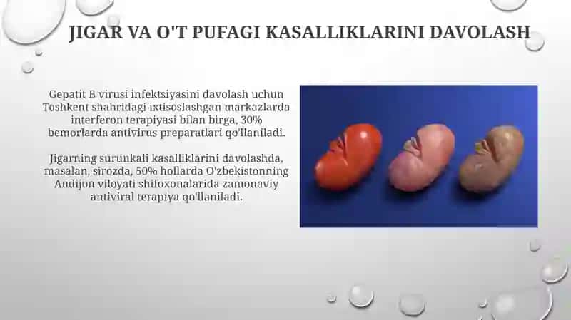 Jigar va oʻt pufagi 3