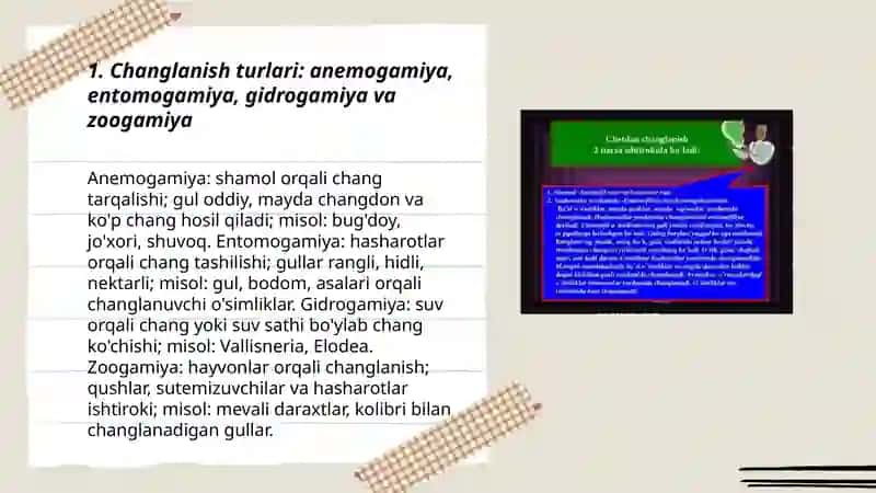 Changlanish turlari. Xazmogam va kleystogam holda changlanuvchi oʻsimliklar 3