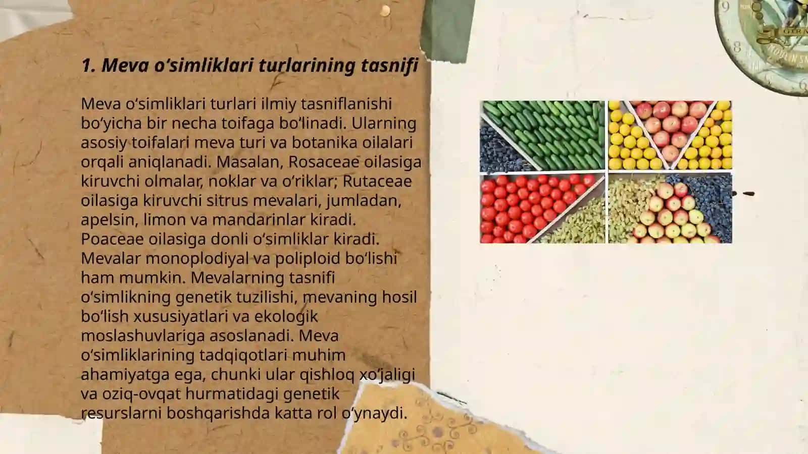 Meva oʻsimliklarini turlari va ularni rivojlantirish 3
