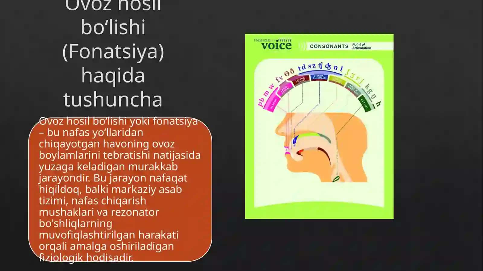 OdamanatomiyasiMustaqilish 3