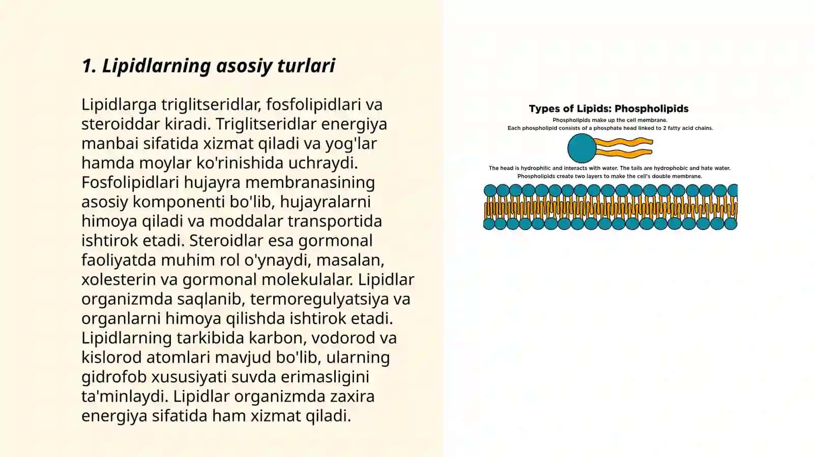 Tarkibida lipidlar tutuvchi oʻsimliklar 3
