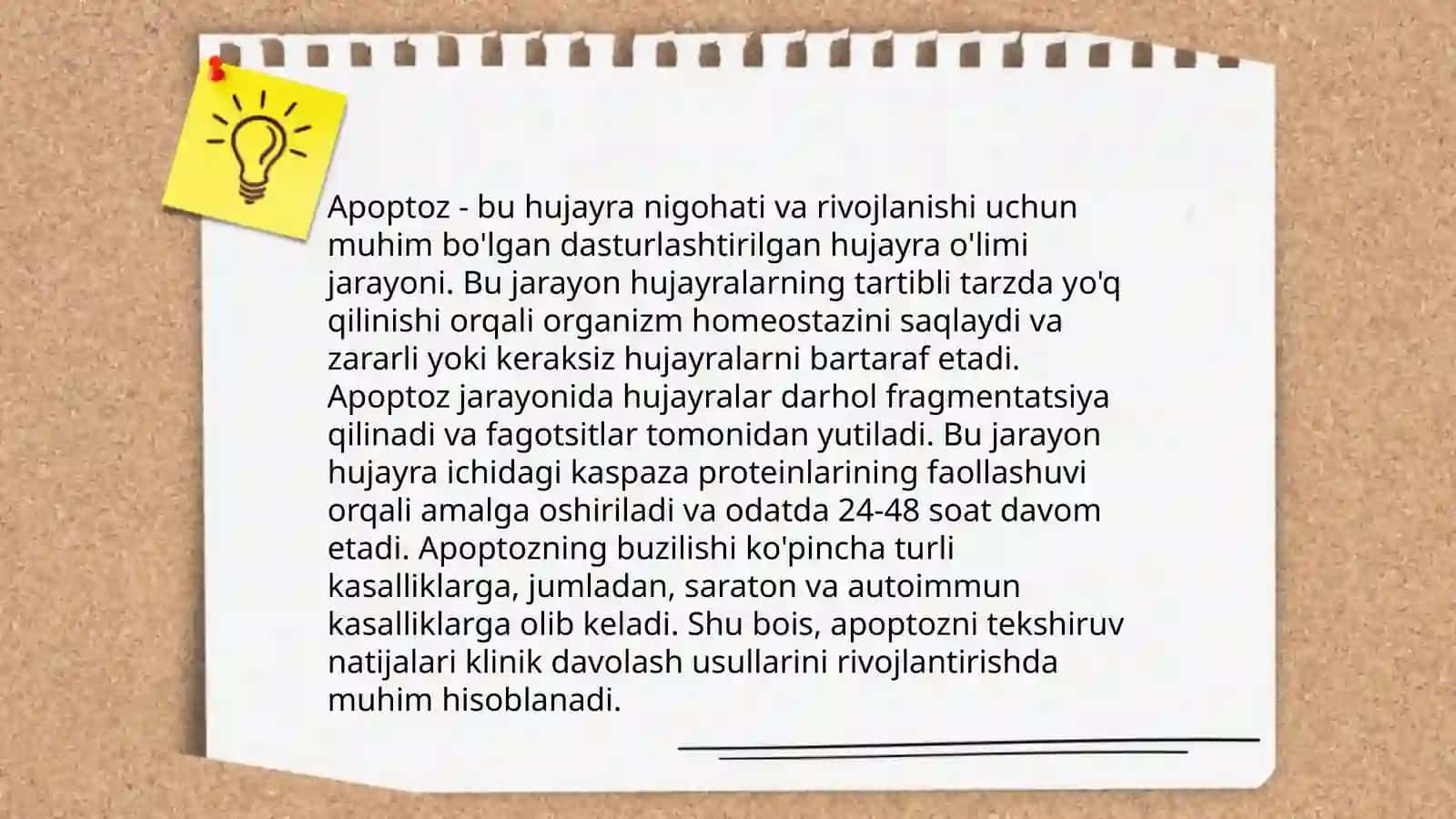Appaptos 3
