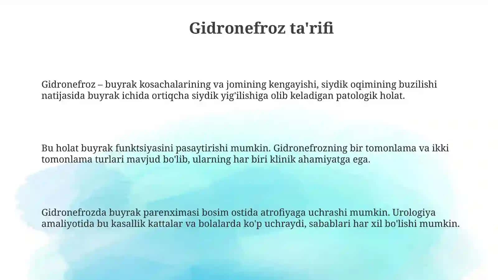 Gidronefroz 3