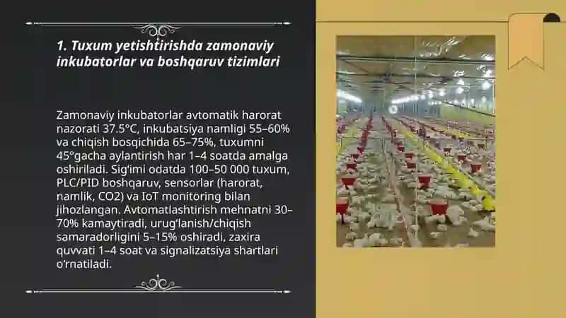 Parandachilikda tuxum yetishtirish zamonoviy texnologiyalari va qurilmalati 3