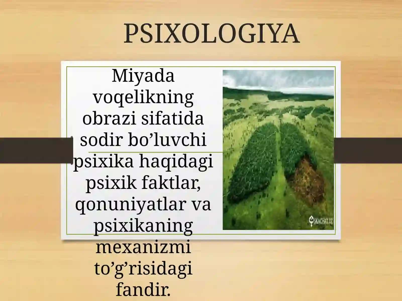 Psixologiya tarixi predmeti va vazifasi 3