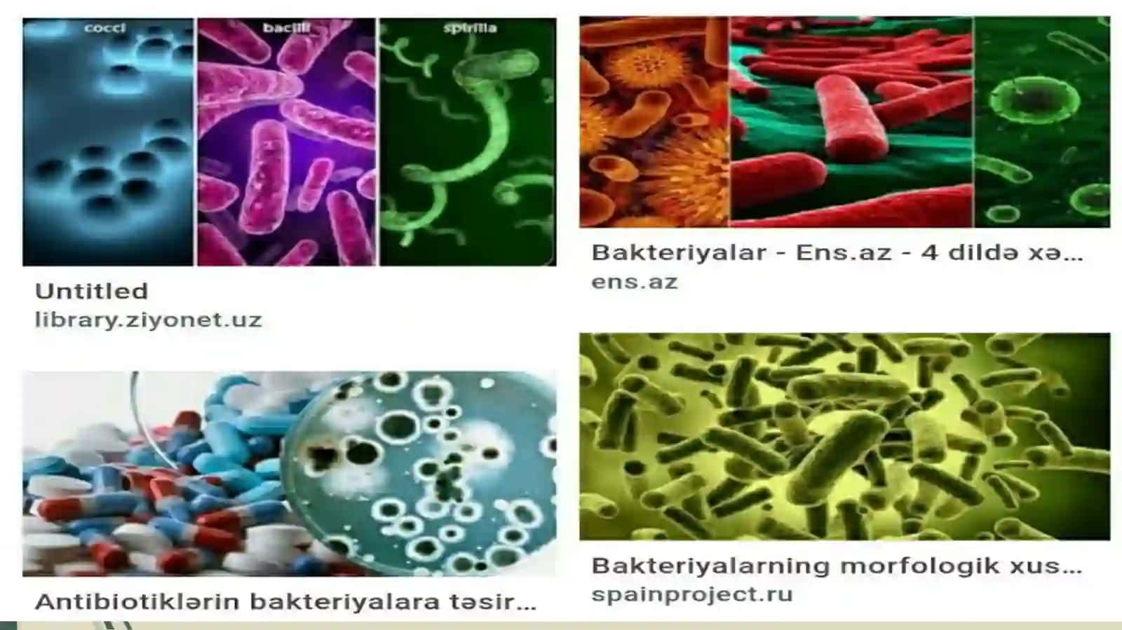 Bakteriyalarning antibiotiklarga chidamli shakllarini paydobo'lish mexanizmlari 3