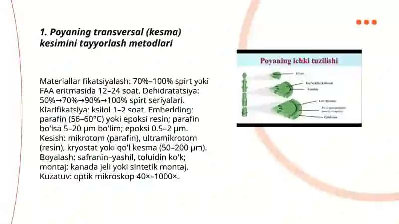 Poyaning ichki tuzilishini mikroskop ostida kuzatish 3