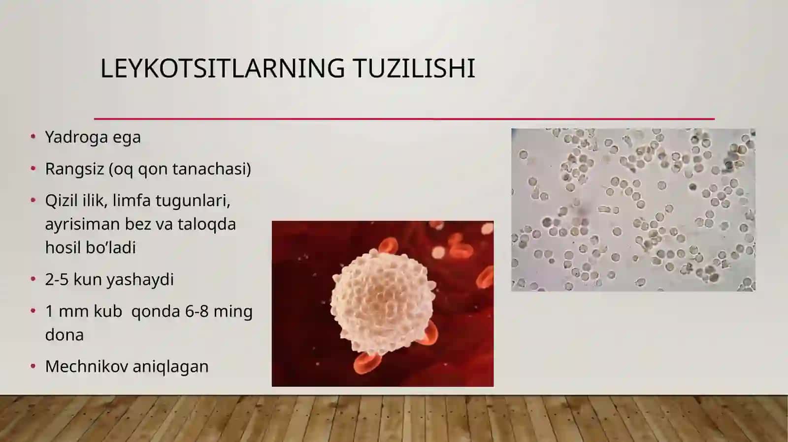 LEYKOSITLAR FIZIOLOGIYASI 3