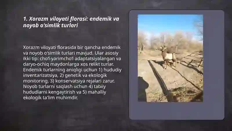 Xorazm viloyati bioxilma xilligi va alohida muhofaza etiladigan tabiiy hududlarni oʻrganish 3