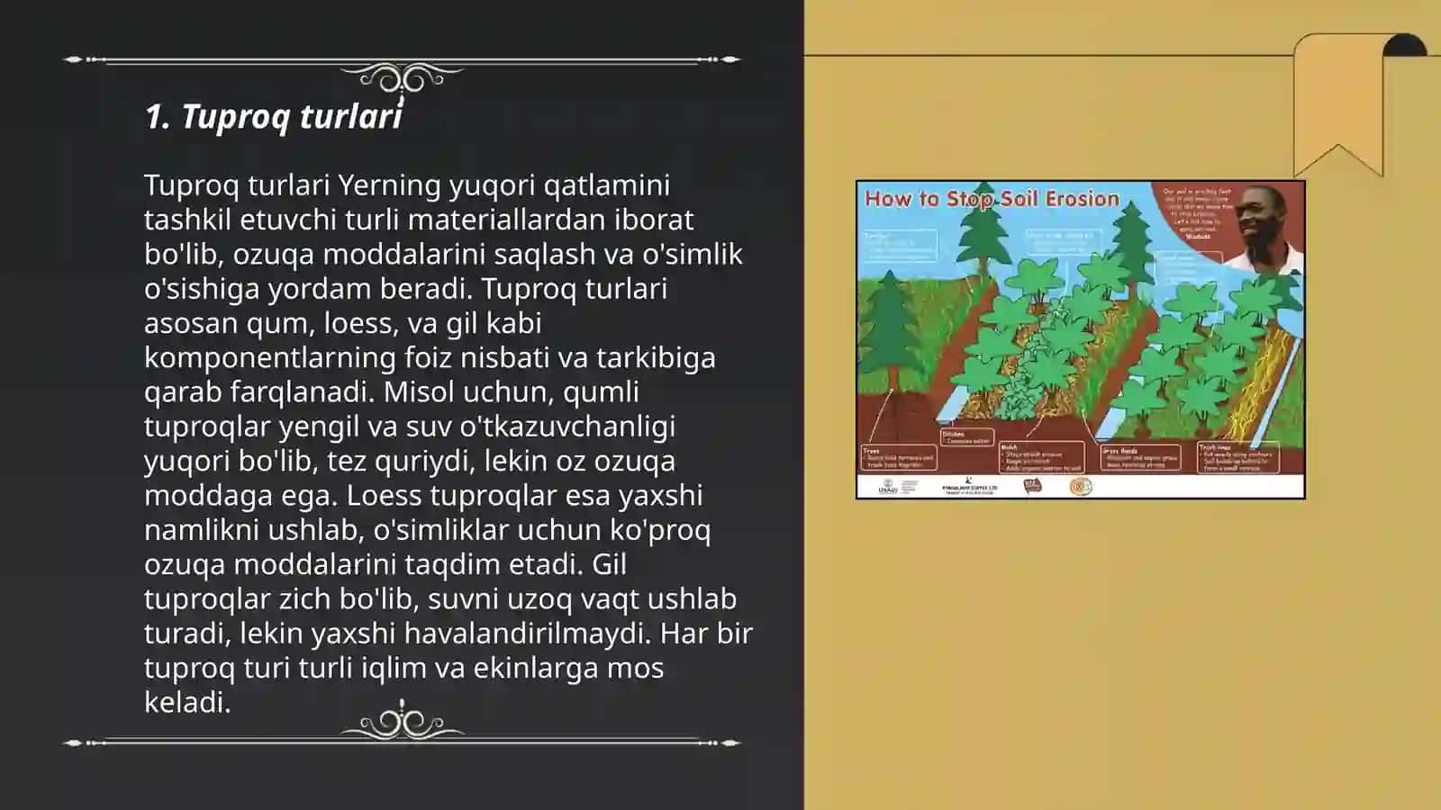 Tuproq-geografik rayonlashtirish 3