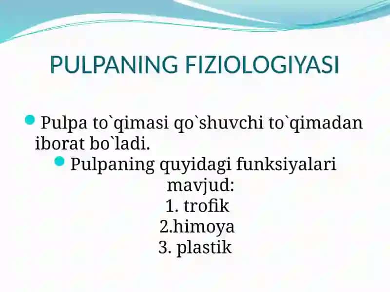 Tish pulpasi 3