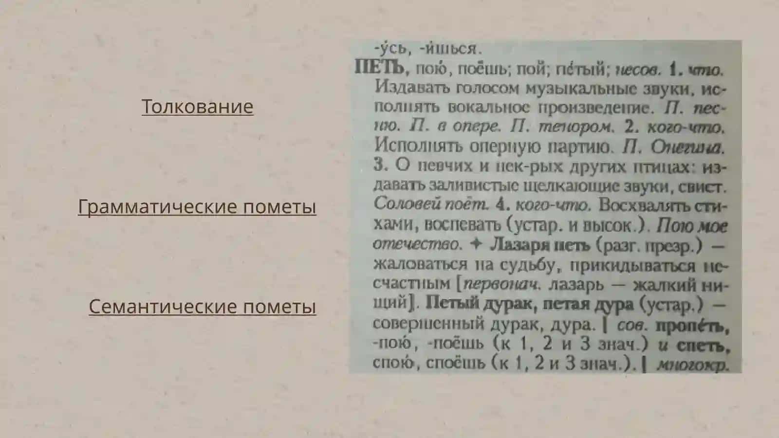 Макро и микро структуры словаря Ожегова и Шведовой 3