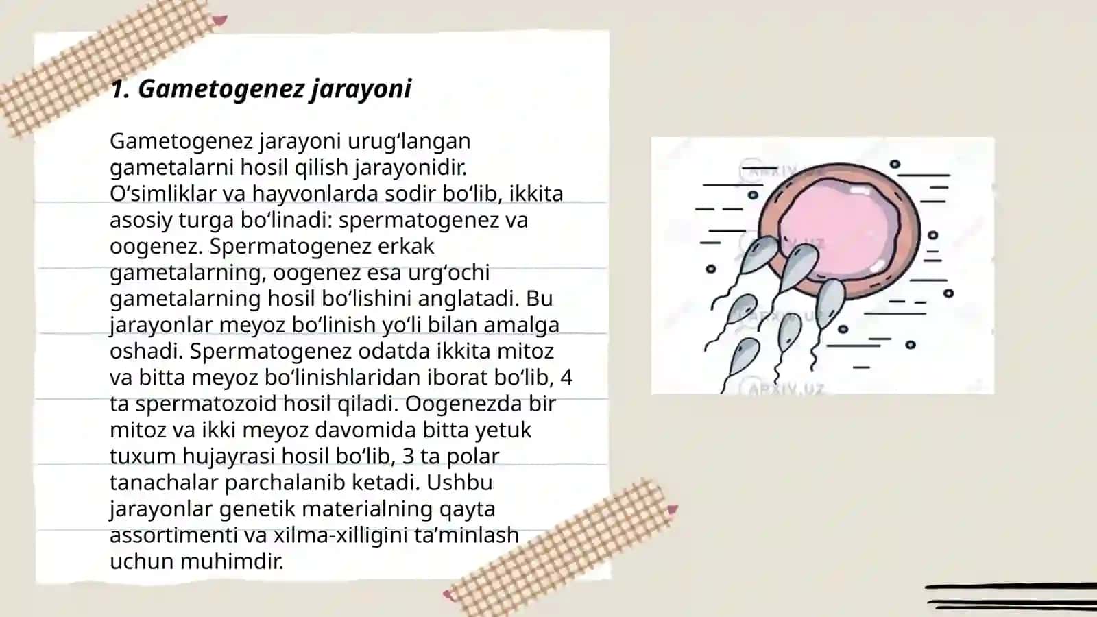 Gametogenez, Embriogenez va ilk uruģlanish vaqtida kelib chiqadigan kasalliklar 3