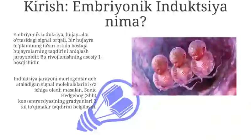 Ikkilamchi embrion induksiyalari 3
