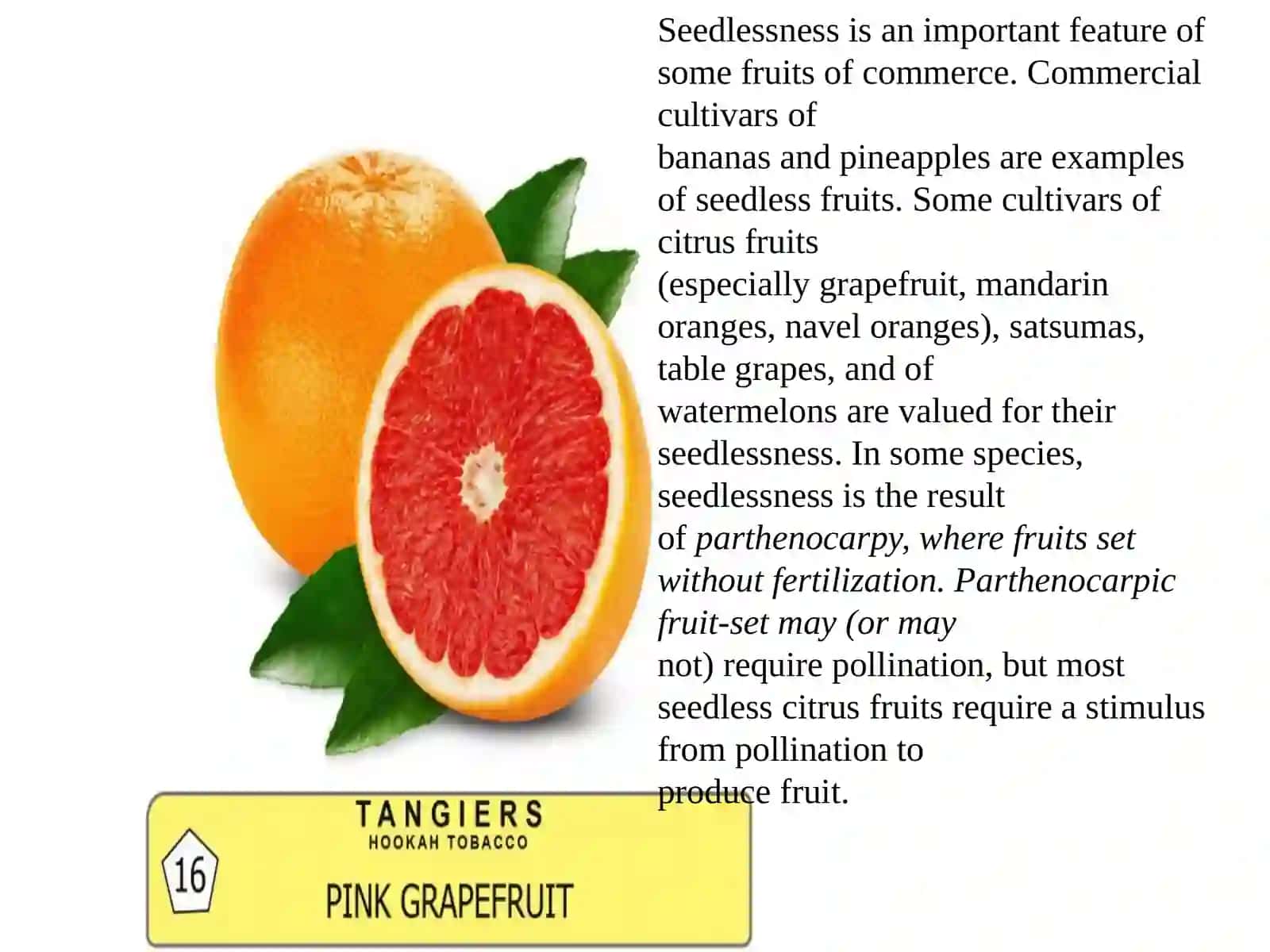 Pomegranate 3