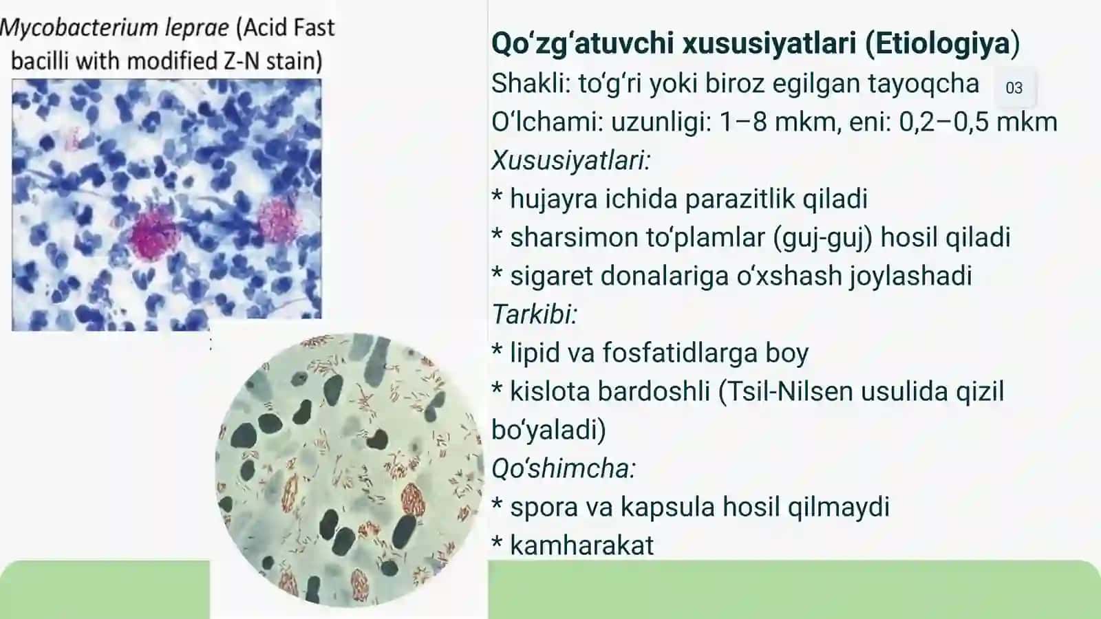 Mohov Lepra kasalligi 3