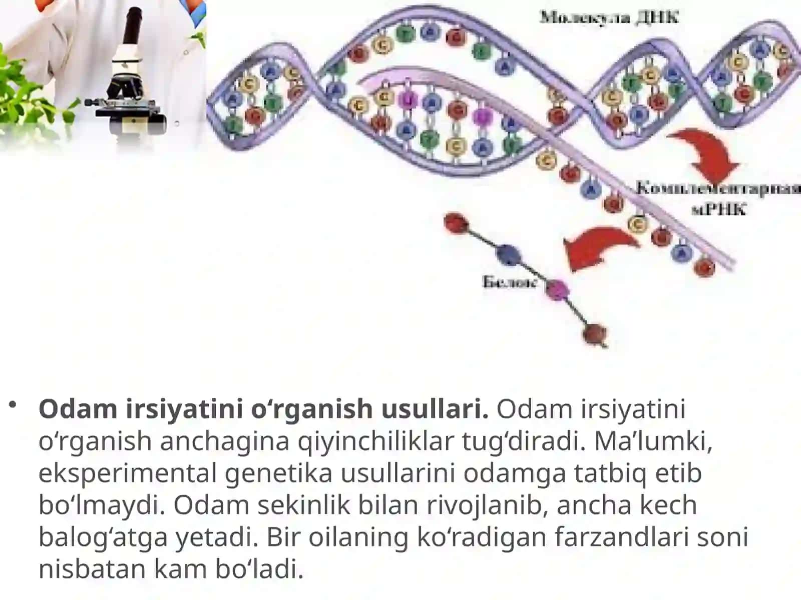 Xamidova Rayxona 3