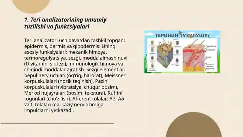 Teri analizatorining umumiy tuzilishi va funktsiyalari 3