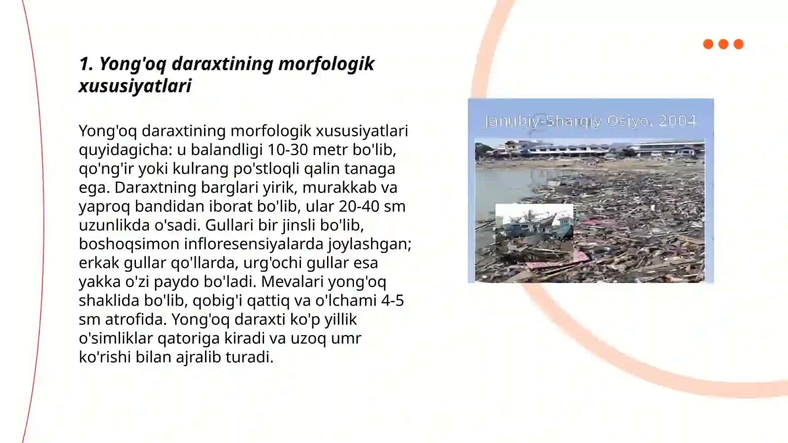 Yong'oq morfologiyasi, rivojlanishi 3