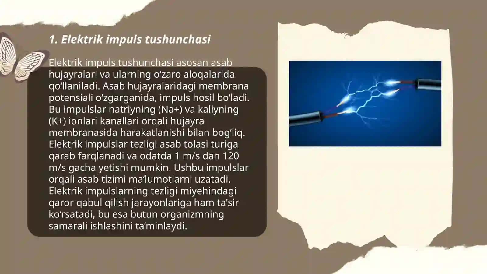 Elektrik impuls 3