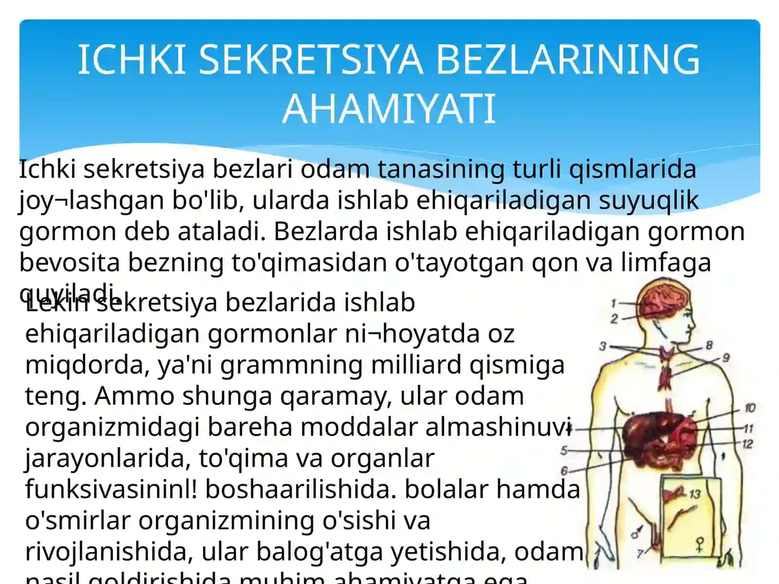 ODAM ANATOMIYASI VA FIZIOLOGIYASI FANIDAN MUSTAQIL ISH 3