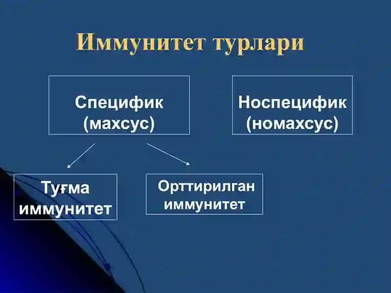 Иммунитет 3