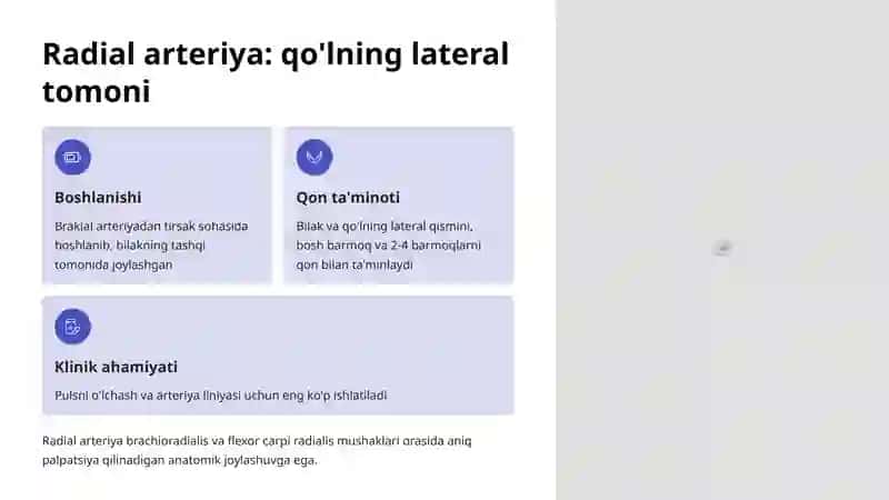 Qo'l arteriyalari 3