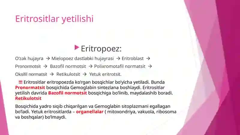 Eritrositlar yetilishi va gem sintezi, uning boshqarilishi. Eritrositlarda kechadigan metobolik jarayonlarning o'ziga xosligi 3