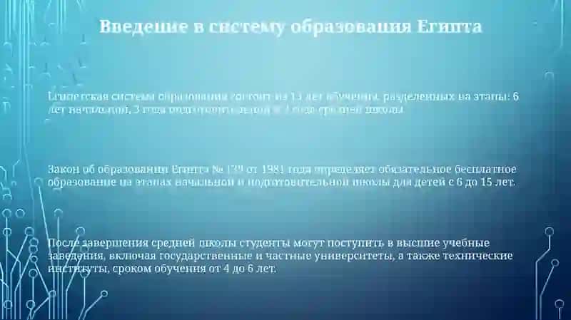 Образование в Египте 3
