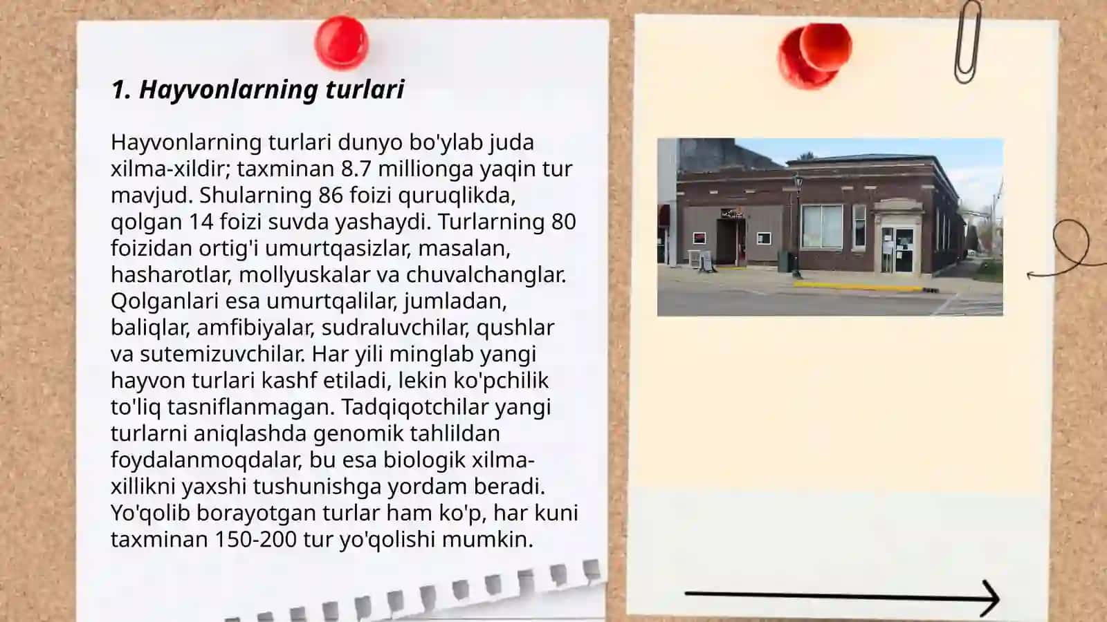 Tirik tabiat burchagi Chorshanbiyeva Farida 3