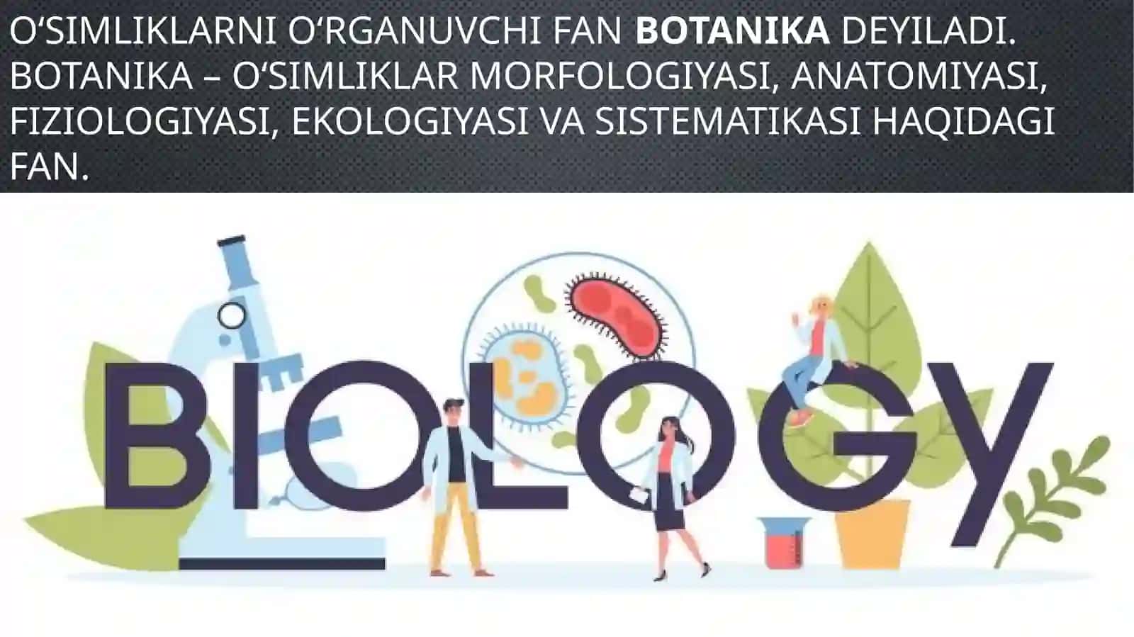 O‘SIMLIKLAR DUNYOSI 3