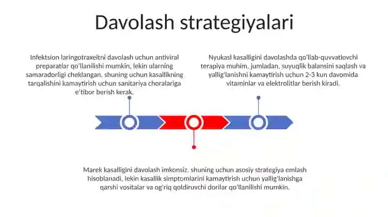 Parandalarning nyukasl, yuqumli lorongotraxeit, marek kasalligi 3